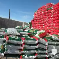 فروش کود شیمیایی در تهران در گروه خرید و فروش کود شیمیایی در یکمیوه