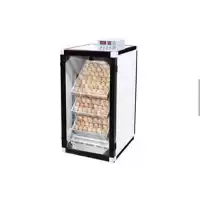 دستگاه های جوجه کشی تایی ارکام در قزوین در گروه انواع تخم ها در یکمیوه