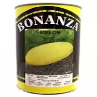 خرید بذر خربزه بونانزا در گروه خرید و فروش بذر خربزه در یکمیوه