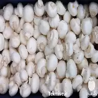 دوره آموزشی پرورش قارچ دکمه ای در گروه دوره آموزش کشاورزی در یکمیوه