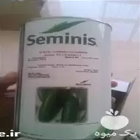 بذر خیار و یواس اگرسید قیمت بذرخیار در گروه خرید و فروش بذر خیار در یکمیوه