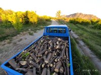 فروش عمده زغال کبابی و مجلسی در ارزوئیه در گروه خرید و فروش زغال در یکمیوه