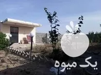 خدمات باغبانی و گلکاری فضای سبز و  در تهران در گروه هرس کاری در یکمیوه -عکس1