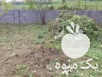 باغبانی علف تراشی با دستگاه سمپاشی در گروه هرس کاری در یکمیوه -عکس1