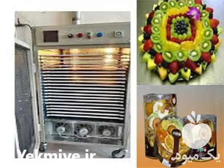 خشک کن میوه با مشعل گازی در گروه خشک کن در یکمیوه -عکس1