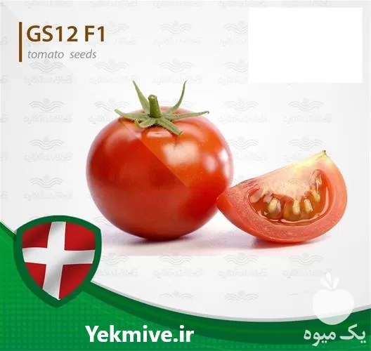 بذر گوجه فرنگی جی اس 12 قیمت در تهران در گروه خرید و فروش بذر گوجه در یکمیوه -عکس1