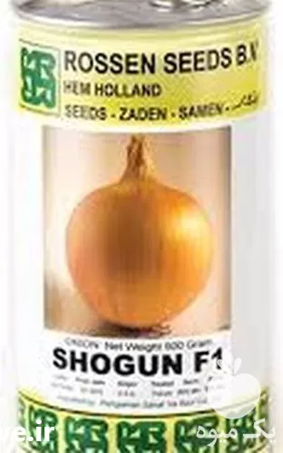 فروش بذر پیاز زرد شوگان shogun در گروه خرید و فروش بذر پیاز در یکمیوه -عکس1