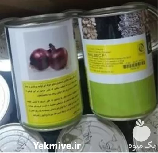فروش بذر پیاز قرمز مالبک اصل در هرمز در گروه خرید و فروش بذر پیاز در یکمیوه -عکس1