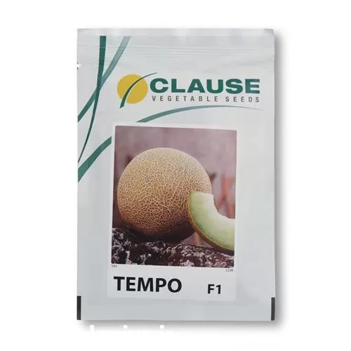 خرید پخش بذر خربزه گالیا تمپو در گروه خرید و فروش بذر خربزه در یکمیوه -عکس1