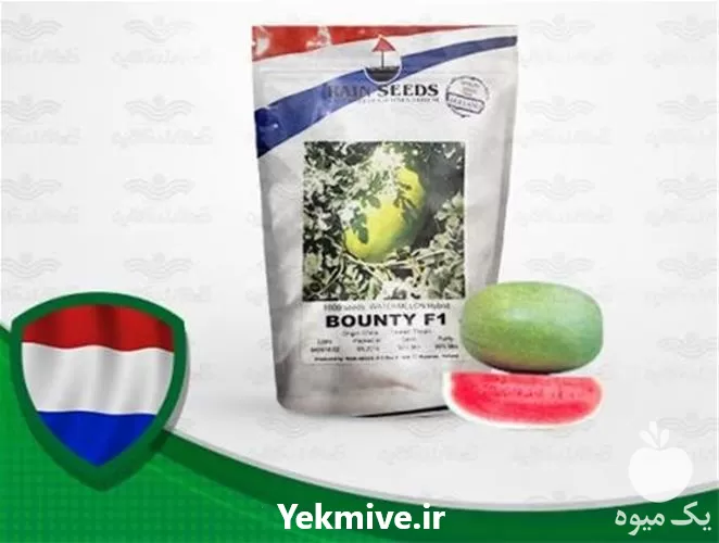 بذر هندوانه هیبرید چارلستون بونتی محصول در خراسان شمالی در گروه خرید و فروش بذر هندوانه در یکمیوه -عکس1