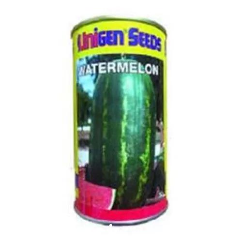 فروش عمده بذر هندوانه یونی ژن در تهران در گروه خرید و فروش بذر هندوانه در یکمیوه -عکس1