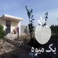 خدمات باغبانی و گلکاری فضای سبز و  در تهران در گروه هرس کاری در یکمیوه