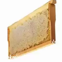 فروش عسل بهاره با شان قاب در تهران در گروه عسل شیره و فرآورده ی مربا در یکمیوه