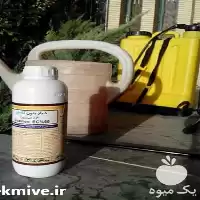 خرید سم حشره کش دیازینون سایپرمترین در خوزستان در گروه خرید و فروش انواع سم در یکمیوه