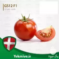 بذر گوجه فرنگی جی اس 12 قیمت در تهران در گروه خرید و فروش بذر گوجه در یکمیوه
