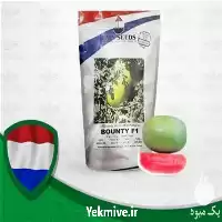 پخش بذر هندوانه هیبرید چارلستون بونتی در تهران در گروه خرید و فروش بذر هندوانه در یکمیوه