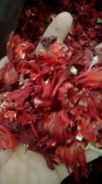 فروش چای ترش ایرانی در کرج در گروه خرید و فروش چای در یکمیوه