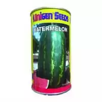 فروش عمده بذر هندوانه یونی ژن در تهران در گروه خرید و فروش بذر هندوانه در یکمیوه