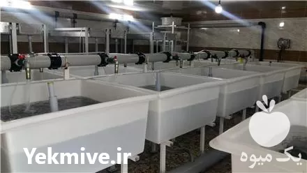 فروش ساخت و طراحی انکوباتور در تهران در گروه خرید و فروش انواع ماهی در یکمیوه -عکس1