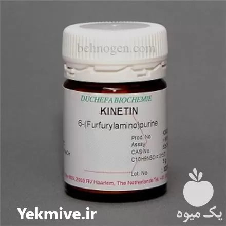 فروش کینیتین در تهران در گروه خرید و فروش سیب زمینی در یکمیوه -عکس1