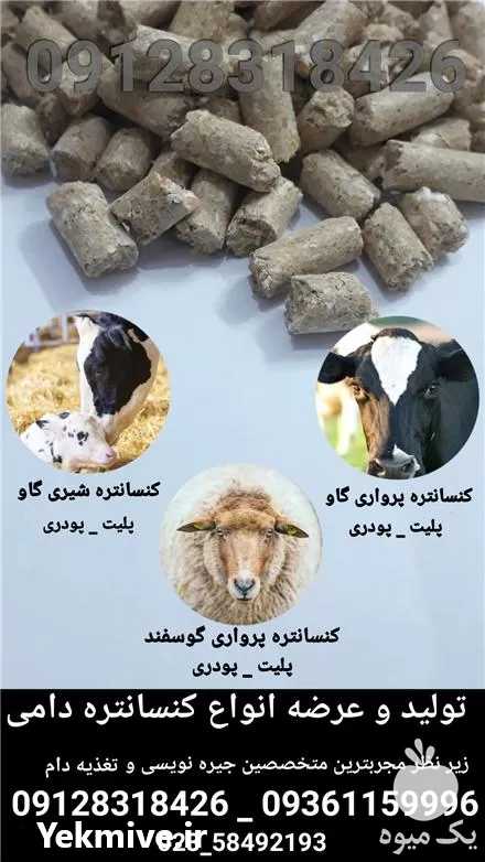 قیمت خرید کنسانتره دامی در گرمسار در گروه خوراک دام و طیور در یکمیوه -عکس1