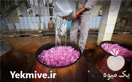 تولید پخش جامع انواع گلاب محصول در گروه خرید و فروش انواع عرقیجات در یکمیوه -عکس1