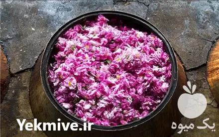 خرید تولید جامع انواع عرقیات گالنی در کاشان در گروه خرید و فروش انواع عرقیجات در یکمیوه -عکس1