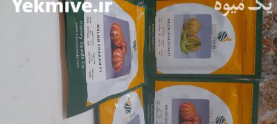 فروش بذر شاهپسند در بستک در گروه خرید و فروش بذر خربزه در یکمیوه -عکس2