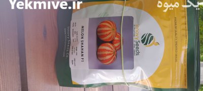 فروش بذر شاهپسند در بستک در گروه خرید و فروش بذر خربزه در یکمیوه -عکس4