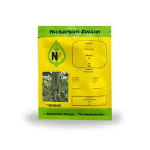 خرید بذر خیار درختی کیهان در گیلان در گروه خرید و فروش بذر خیار در یکمیوه -عکس1