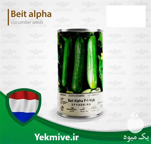 قیمت خرید بذر خیار بت آلفا در خراسان رضوی در گروه خرید و فروش بذر خیار در یکمیوه -عکس1