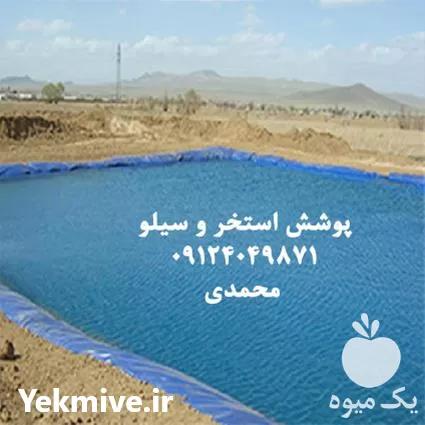 فروش طراحی و اجرای روکش استخر در گروه خرید و فروش ژئوممبران در یکمیوه -عکس1