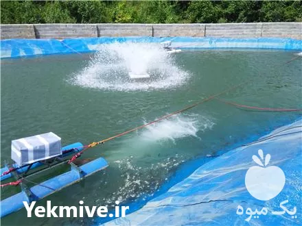 خرید استخرهای ژئوممبرین کشاورزی پرورش ماهی در تهران در گروه خرید و فروش استخر کشاورزی در یکمیوه -عکس1