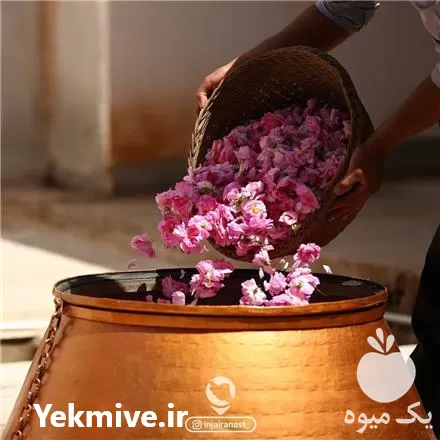 خرید کاملترین تولید کننده اقلام عطاری در گروه خرید و فروش انواع عرقیجات در یکمیوه -عکس1