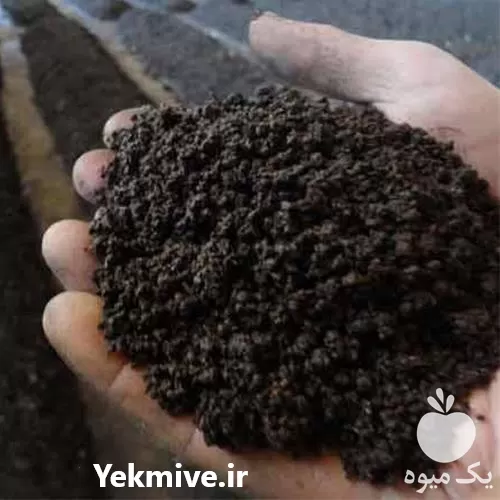 کود بیو کمپوست گیاهی دامی کمپوست در اصفهان در گروه خرید و فروش کود گاوی در یکمیوه -عکس1