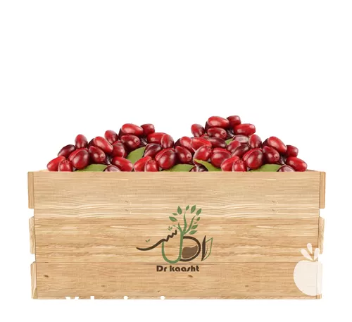 فروش عمده نهال زغال اخته سیاه در گروه خرید و فروش نهال در یکمیوه -عکس1