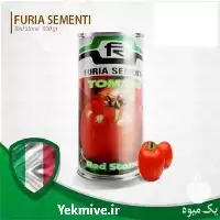 خرید بذر گوجه ربی صنعتی رد استون در گروه خرید و فروش بذر گوجه در یکمیوه