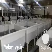 فروش ساخت و طراحی انکوباتور در تهران در گروه خرید و فروش انواع ماهی در یکمیوه