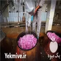 تولید پخش جامع انواع گلاب محصول در گروه خرید و فروش انواع عرقیجات در یکمیوه