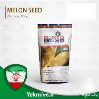 بذر خربزه خاتونی پویا خرید بذر در کرمانشاه در گروه خرید و فروش بذر خربزه در یکمیوه