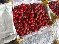 فروش گیلاس عالی در تهران در گروه خرید و فروش گیلاس در یکمیوه