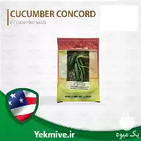 بذر خیار کنکورد مخصوص فضای باز در البرز در گروه خرید و فروش بذر خیار در یکمیوه