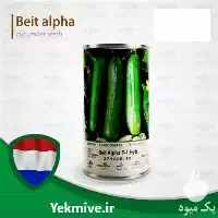 قیمت خرید بذر خیار بت آلفا در خراسان رضوی در گروه خرید و فروش بذر خیار در یکمیوه