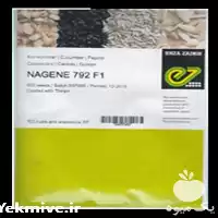 خرید بذر خیار ناگین قیمت بذر در گروه خرید و فروش بذر خیار در یکمیوه