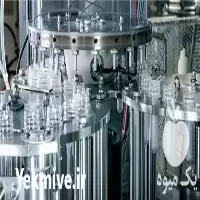 قیمت خرید هموژن در تهران در گروه خرید و فروش خط تولید در یکمیوه