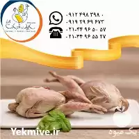 آگهی مشابه خرید عرضه گوشت بلدرچین سابین تجارت در تهران در گروه مرغ و خروس و بوقلمون و اردک قو قاز در یکمیوه