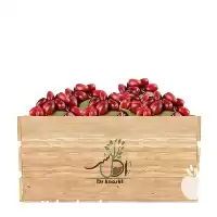 فروش عمده نهال زغال اخته سیاه در گروه خرید و فروش نهال در یکمیوه