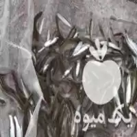 قیمت خرید بچه ماهی سفید در گروه خرید و فروش ماهی سفید در یکمیوه