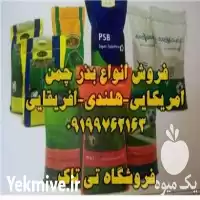 انواع بذر چمن اسپرت هلندی برموداگراس شبدر در تهران در گروه خرید و فروش بذر چمن در یکمیوه
