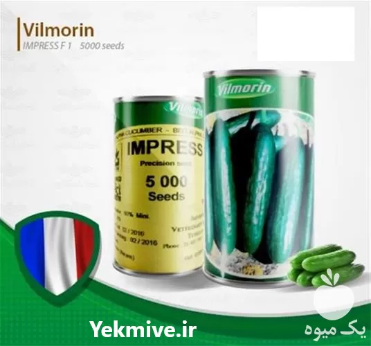 بذر خیار ایمپرس ویلمورین هیبرید پربار در گروه خرید و فروش بذر خیار در یکمیوه -عکس1